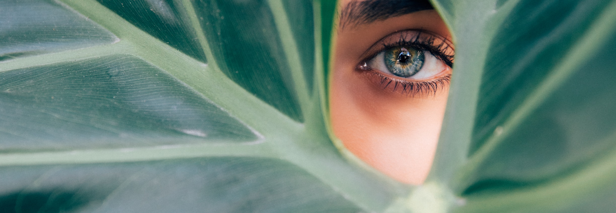 An eye framed gently through green leaves, representing energy awareness